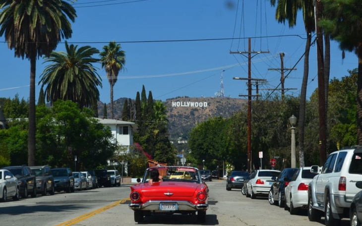 Widok na Hollywood z ulicy, z palmami i samochodami.