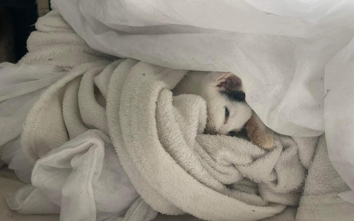 Zbiórka Niech w końcu będzie dobrze - zdjęcie główne