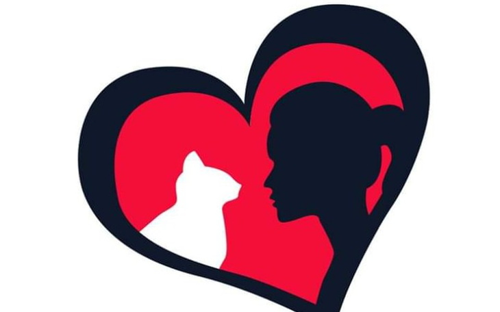 Zbiórka Karma i leczeniedla bezdomniaków - zdjęcie główne