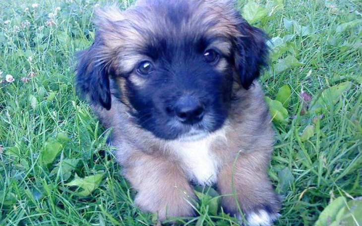 Zbiórka Na jedzenieee - zdjęcie główne