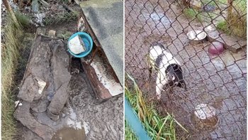 Zbiórka Czekali aż... "zdechnie" - miniaturka zdjęcia