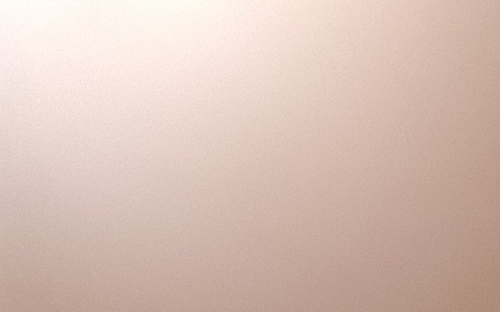 Zbiórka Dziórawy dach grzyb bieda - zdjęcie główne