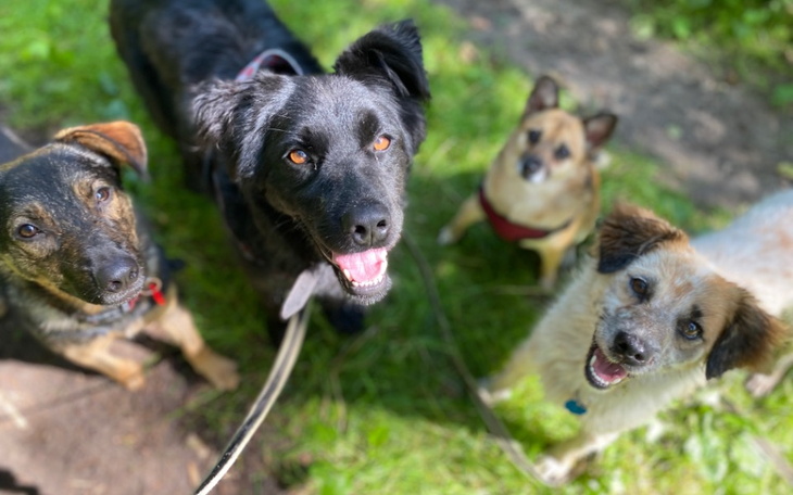 Zbiórka Faktury za leczenie Zaciszaków - zdjęcie główne