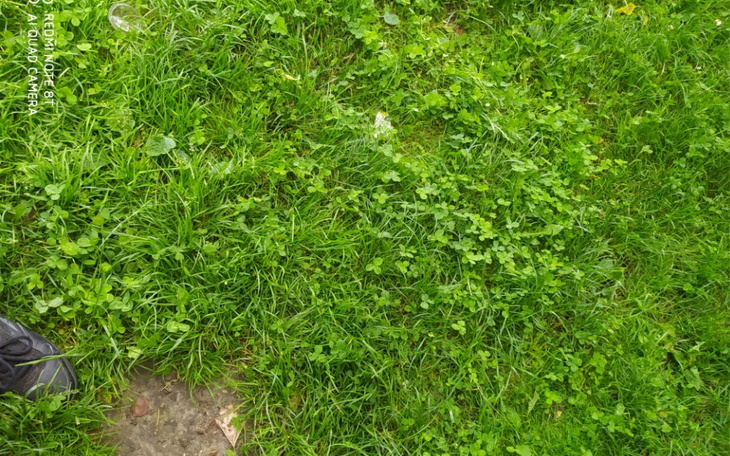 Zbiórka Brakujące pieniądze na super row - zdjęcie główne