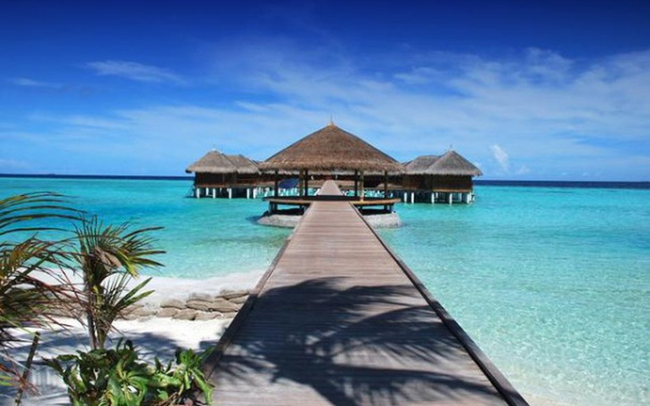 Zbiórka Na wymarzone wakacje kamerzysty - zdjęcie główne