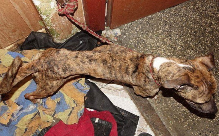 Zbiórka Bity i głodzony Kaziu! - zdjęcie główne