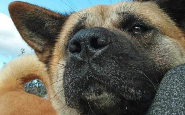 Zbiórka Droga JAGI do spokojnego życia - zdjęcie główne