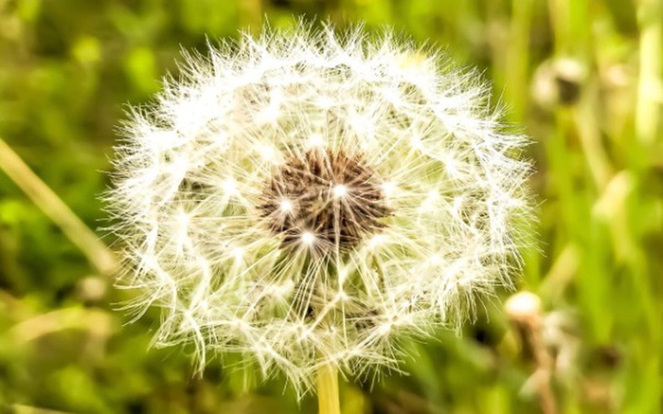 Zbiórka Badania upraw ekologicznych - zdjęcie główne