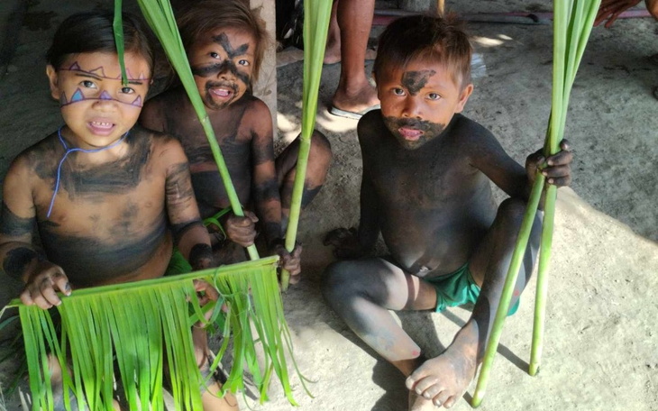 Zbiórka Yanomami potrzebują pomocy - zdjęcie główne
