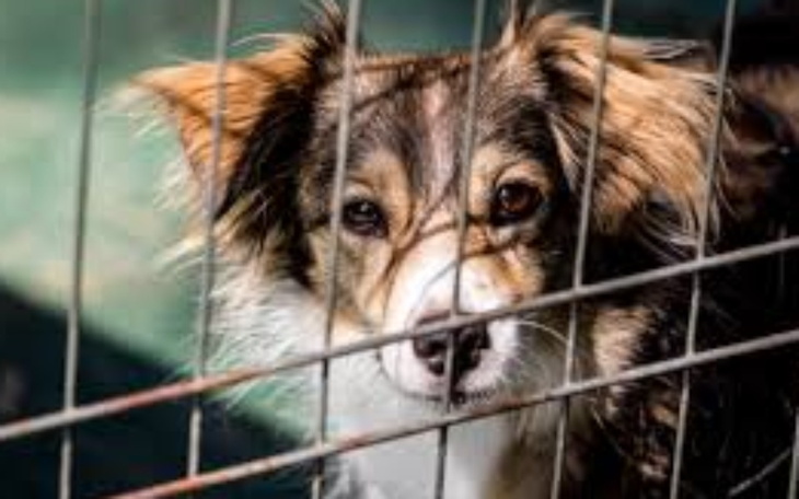 Zbiórka Nie starcza na jedzenie - zdjęcie główne