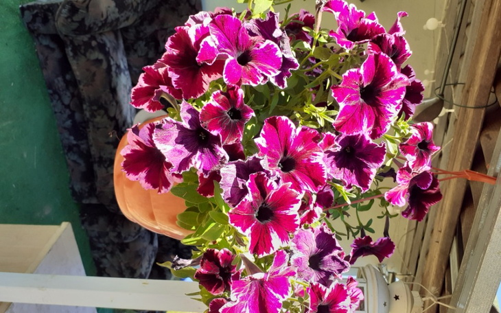 Zbiórka Sympatyczny - zdjęcie główne