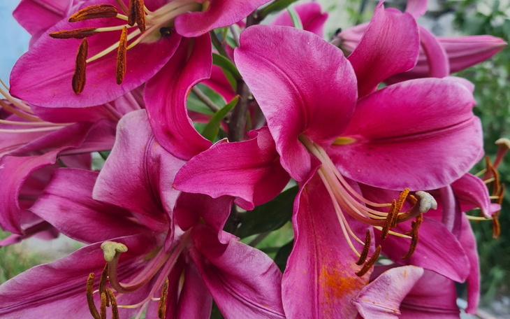 Zbiórka Zbiórka tak poprostu. - zdjęcie główne