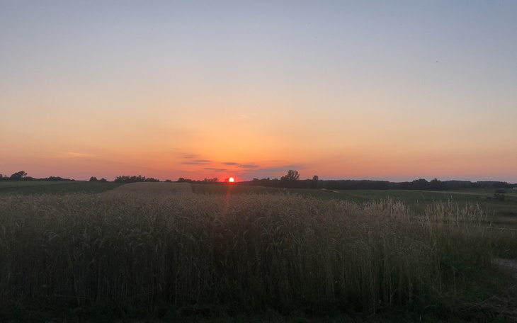 Zbiórka Zbiórka na prawo jazdy pomocy - zdjęcie główne