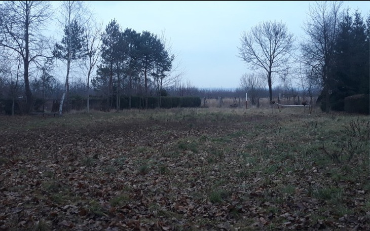 Zbiórka Odbudowa boiska piłkarskiego - zdjęcie główne