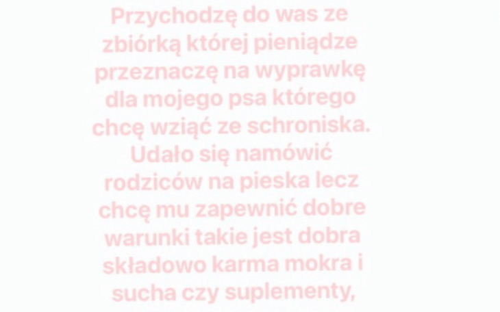 Zbiórka Wyprawka dla pieska - zdjęcie główne