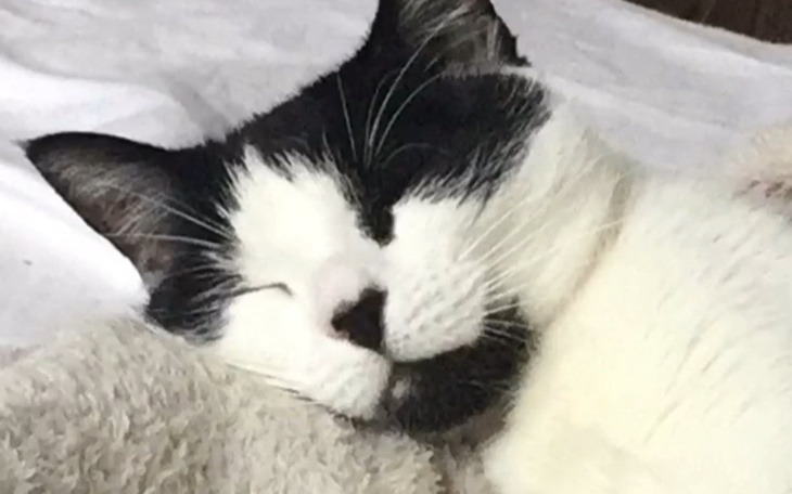 Zbiórka Leczenie Tofika. - zdjęcie główne