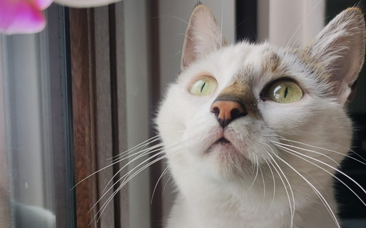 Zbiórka Walka o życie Białki . - zdjęcie główne