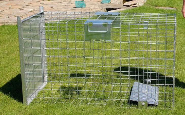 Zbiórka Pomóż nam kupić klatkę- łapkę - zdjęcie główne