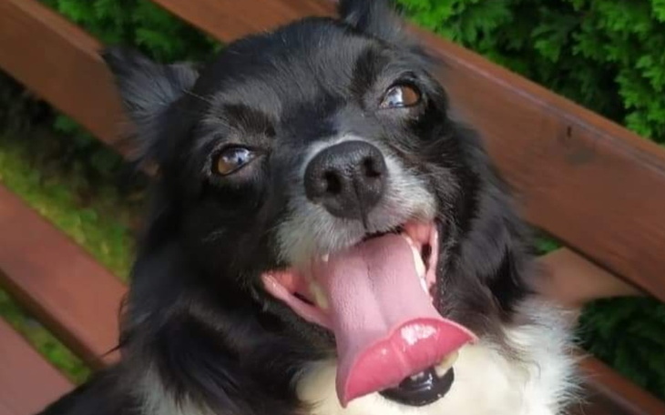 Zbiórka Niech uśmiech Mimi nie zgaśnie - zdjęcie główne