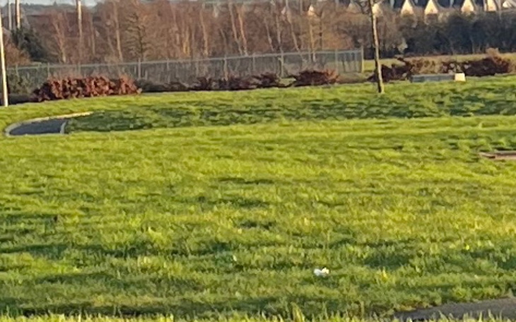 Zbiórka Pomoc rozbitej rodzinie - zdjęcie główne