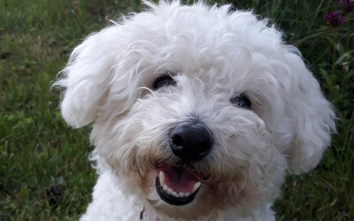 Zbiórka Operacja Wikuni - zdjęcie główne