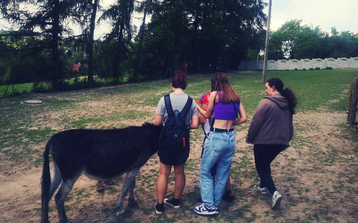 Grupa osób spacerujących z osłem na wsi.