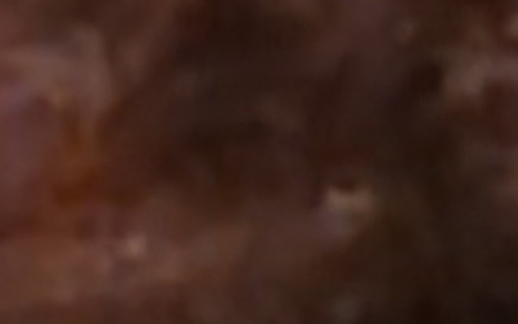 Zbiórka Dejcie bo mie siem nalerzy - zdjęcie główne