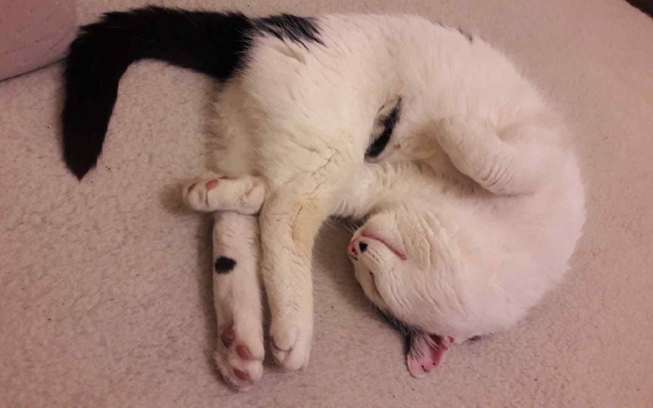 Zbiórka Leki, leki i jeszcze raz leki - zdjęcie główne