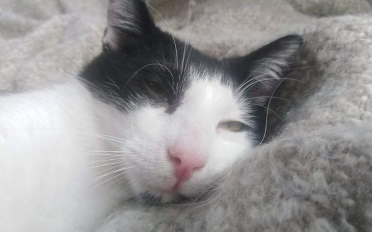 Zbiórka Pomoc Azji - zdjęcie główne