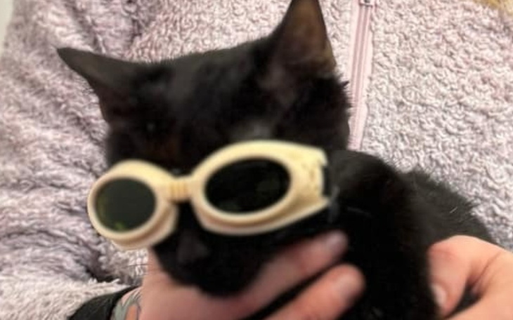 Zbiórka Bazarek dla Pipi i nowych - zdjęcie główne