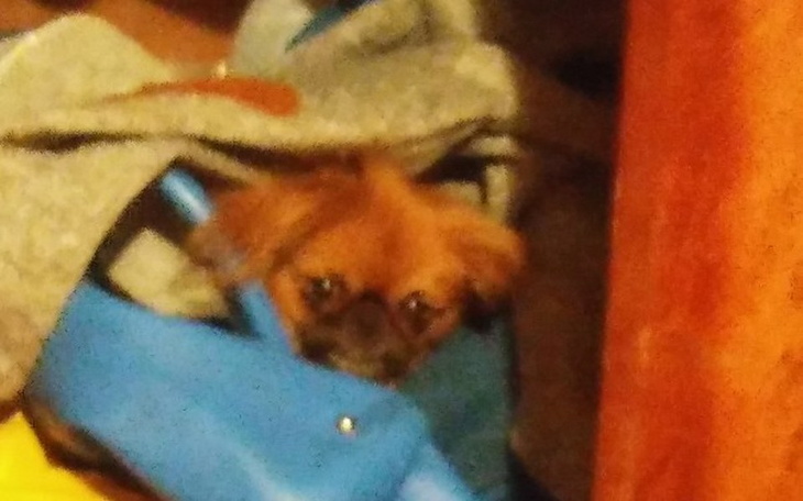 Zbiórka Zbieram na komputer - zdjęcie główne