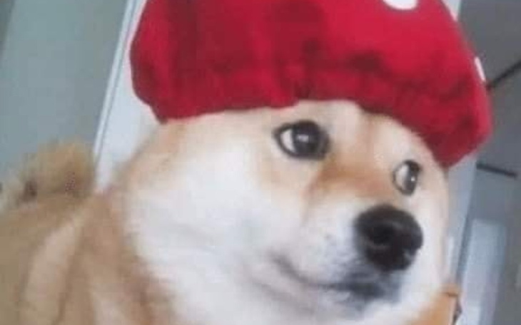 Zbiórka wycieczka dla gabi - zdjęcie główne