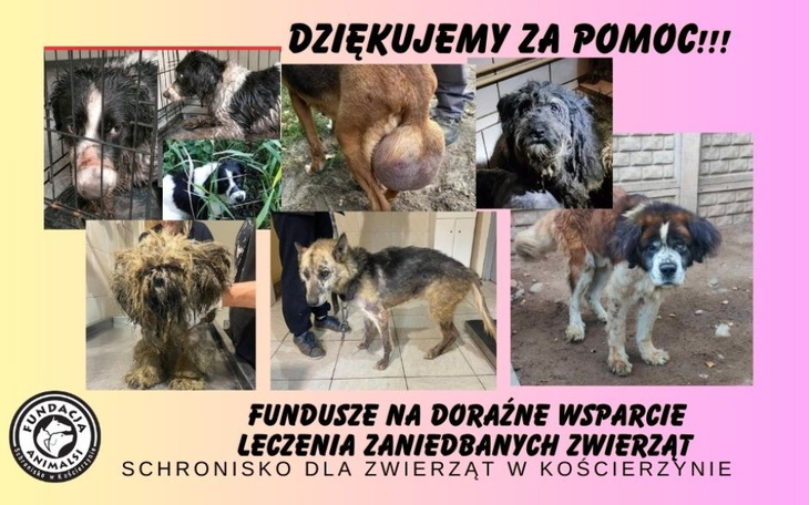 Zbiórka Zbiórka na doraźne wsparcie - zdjęcie główne