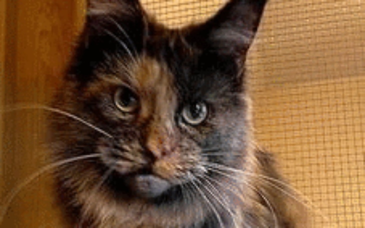 Zbiórka Pomóż Iladi - zdjęcie główne