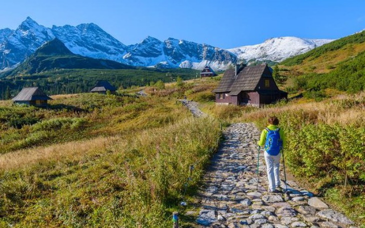 Zbiórka Bym mógł widzieć wciąż świat - zdjęcie główne