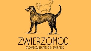 Zbiórka Zwierzomoc i podopieczni - miniaturka zdjęcia