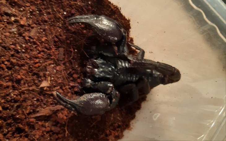 Zbiórka Odpowiednie warunki dla bolka - zdjęcie główne