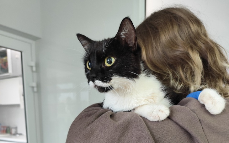 Zbiórka Leczenie nerek Pralinki - zdjęcie główne