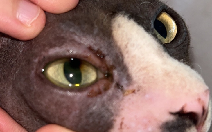 Zbiórka Operacja Primy - zdjęcie główne