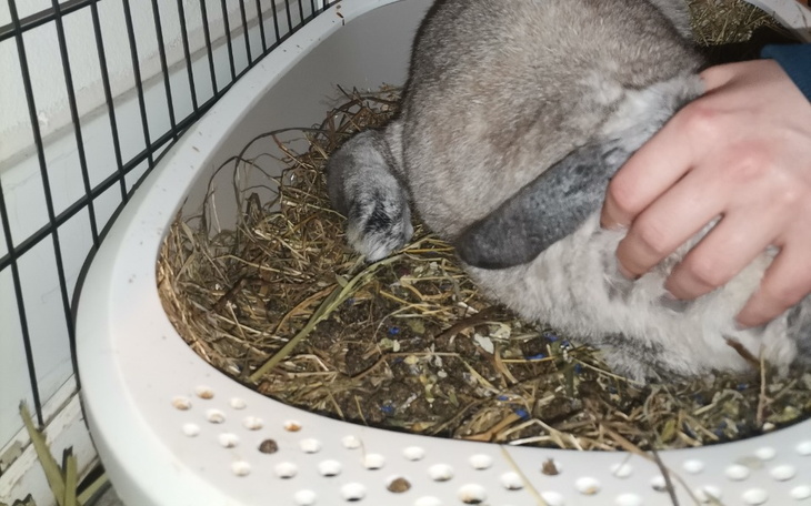 Zbiórka Sjaakie i Haru - zdjęcie główne