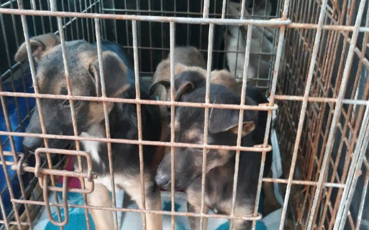 Zbiórka Sunia ma szansę na DT, transport - zdjęcie główne