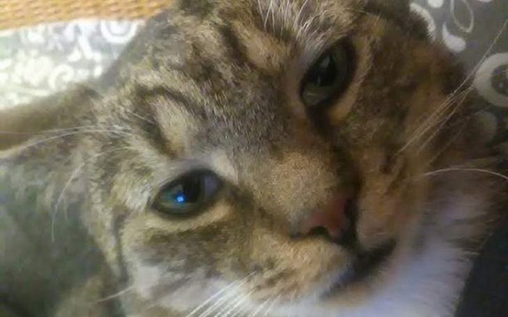 Zbiórka Zachować dach nad głową - zdjęcie główne