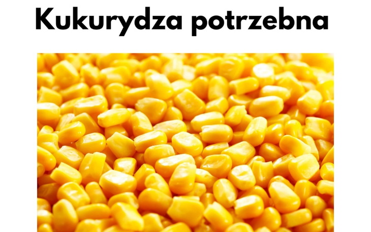 Zbliżenie na żółte ziarna kukurydzy na białym tle.