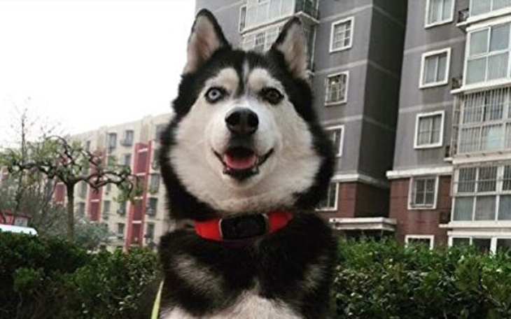 Zbiórka Otworzenie Firmy - zdjęcie główne