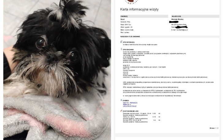 Zbiórka Tomograf dla Daisy - zdjęcie główne