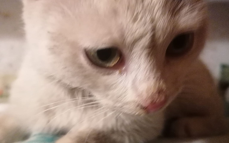 Zbiórka Porzucony maluch prosi o pomoc - zdjęcie główne