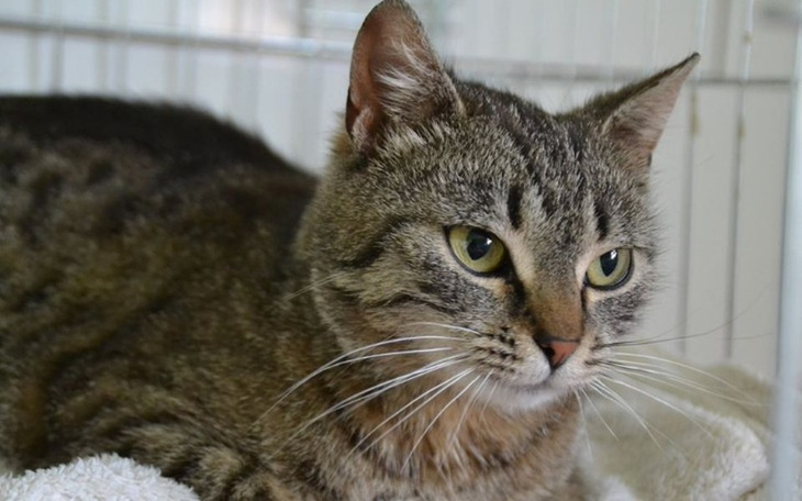 Zbiórka Cierpiała w ciszy i samotności - zdjęcie główne