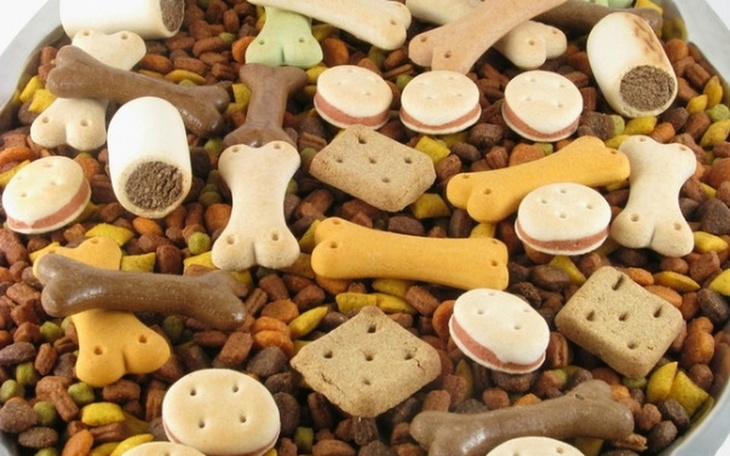 Zbiórka Karma specjaliczna dla psiaków - zdjęcie główne