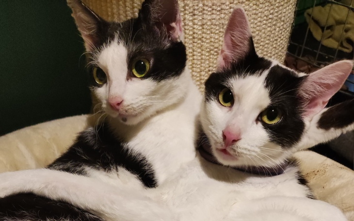 Zbiórka Chcemy wkońcu być zdrowe - zdjęcie główne