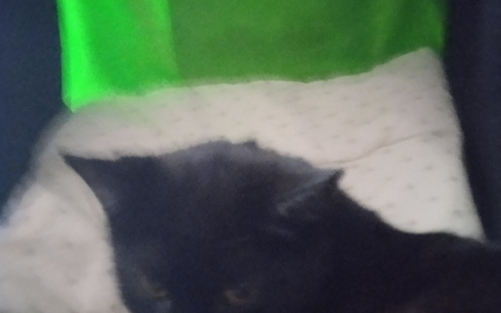 Zbiórka Każdy grosz pomoże ocalić DOM-PO - zdjęcie główne